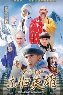 《少林寺传奇之火烧少林》：这换世门生的恩怨情仇，够劲！